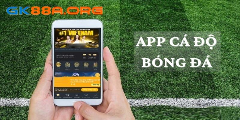 Cách xác định các app cá cược bóng đá uy tín