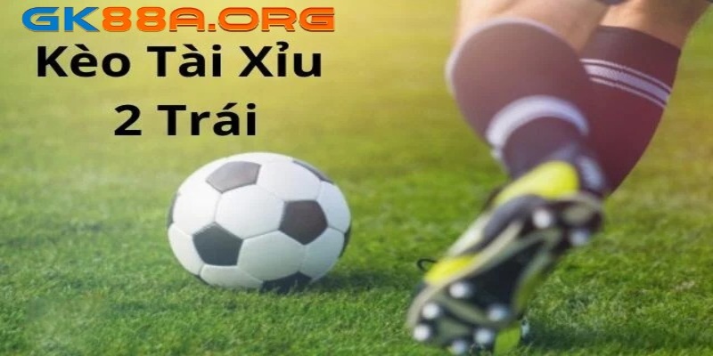 Khám phá thông tin chung về tài xỉu 2 trái